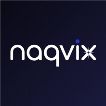 Naqvix Logo