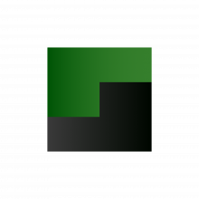 Graivaa Logo