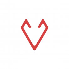 IdeaFox PVT LTD Logo