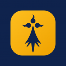 Webdesign29 Logo