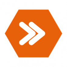 Newsoft Logo