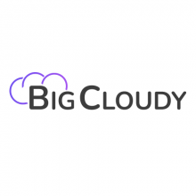 BigCloudy Internt Services Pvt. Ltd. Logo