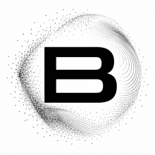 Basarada Logo