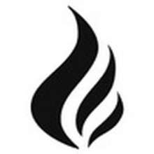 FireVM.com Logo