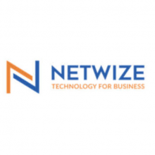 NetWize Logo