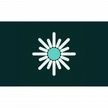 313 Automations Logo