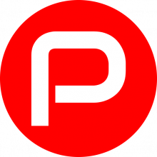 Pashyaa Technologies Logo