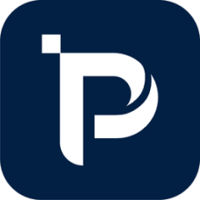 PAVELS WEB SOLUTIONS S.R.L. Logo