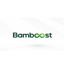 Bamboost LLP Logo