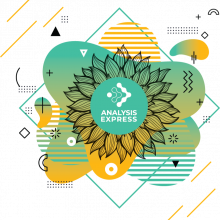 Analysis Express, Inc Logo