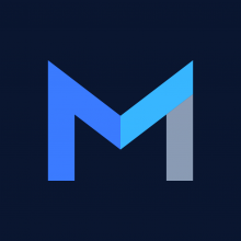 Micro IT Industry Logo