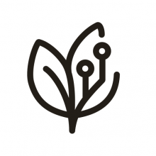 Ciqualia Logo