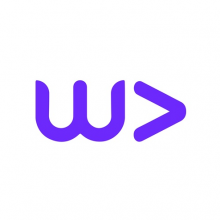 Webvizion Logo