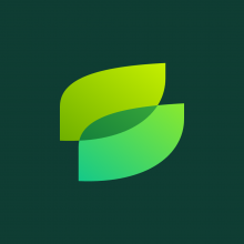 Saira Systems Logo