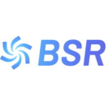 BSR EXCLUSIVE Logo