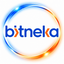 Bineka Technologies Logo