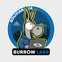 Burrow Labs Logo