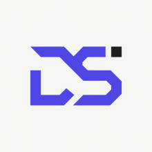 Divine Solutions Logo
