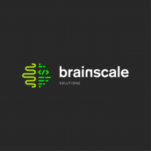 BrainScale Solutions Logo