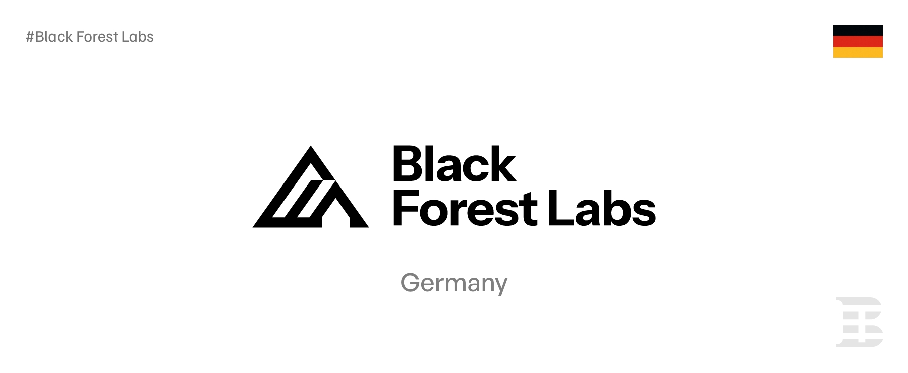 Black-Forest-Labs