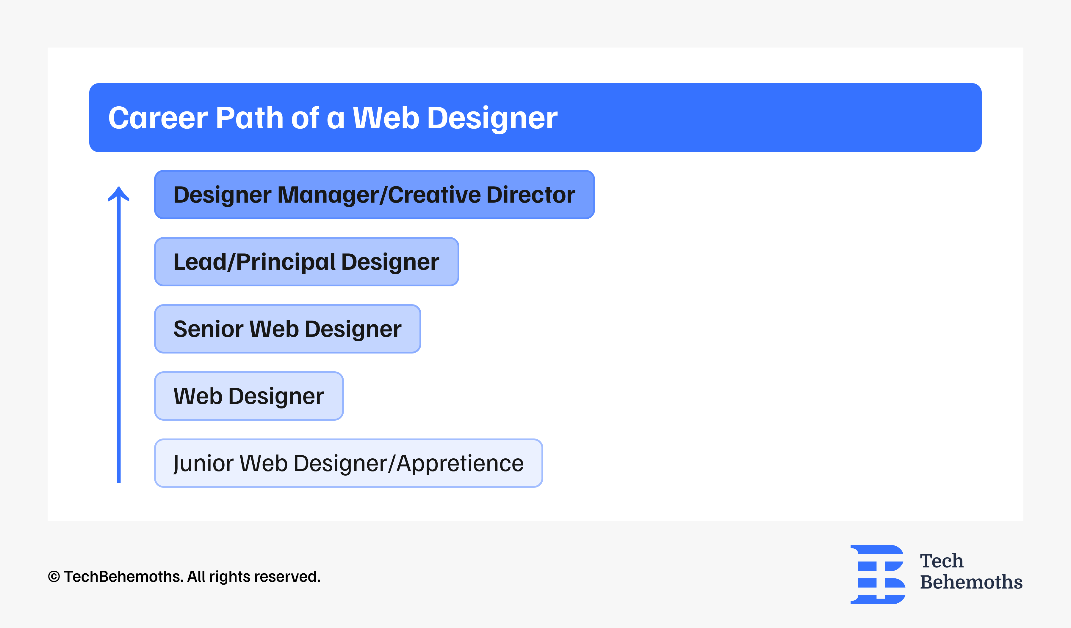 career-path-of-a-web-designer.png
