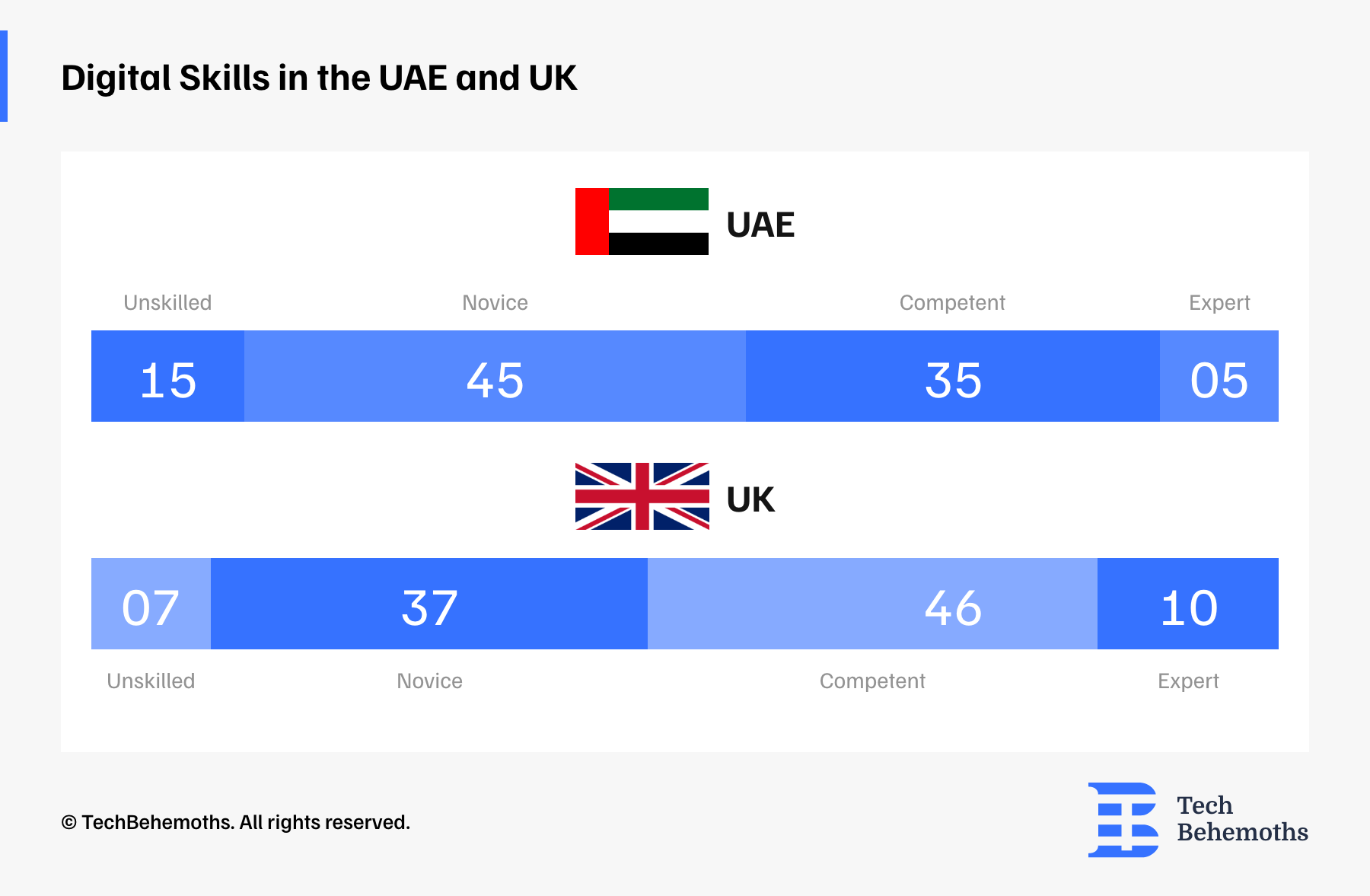 digital-skills-in-the-UAE-and-UK