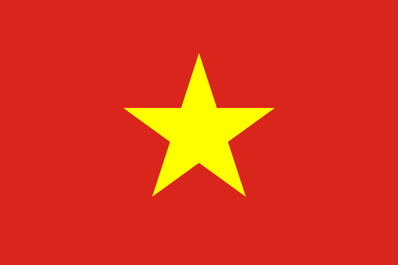 Vietnam IT JOB Country