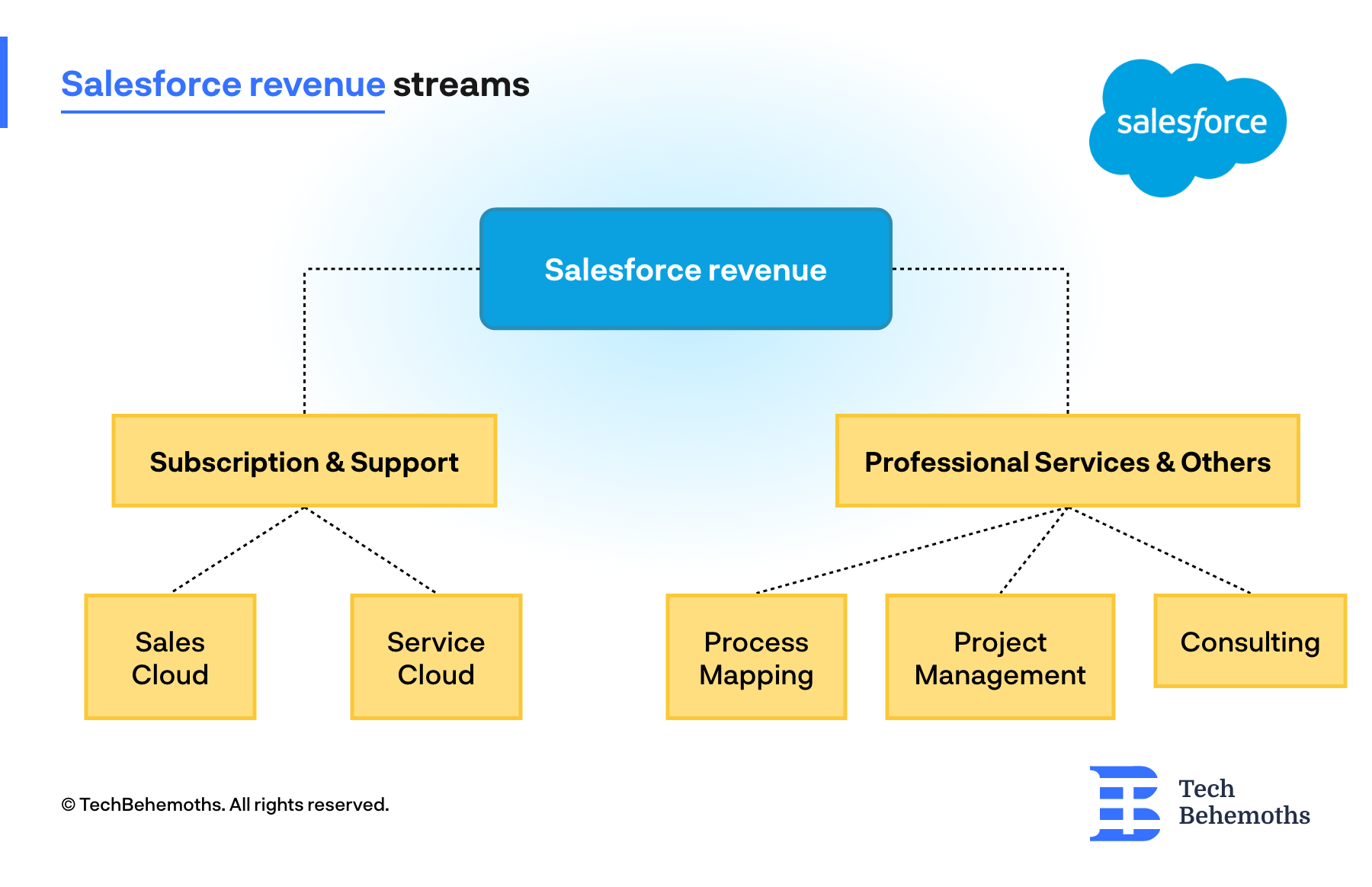 Salesforce revenue streams