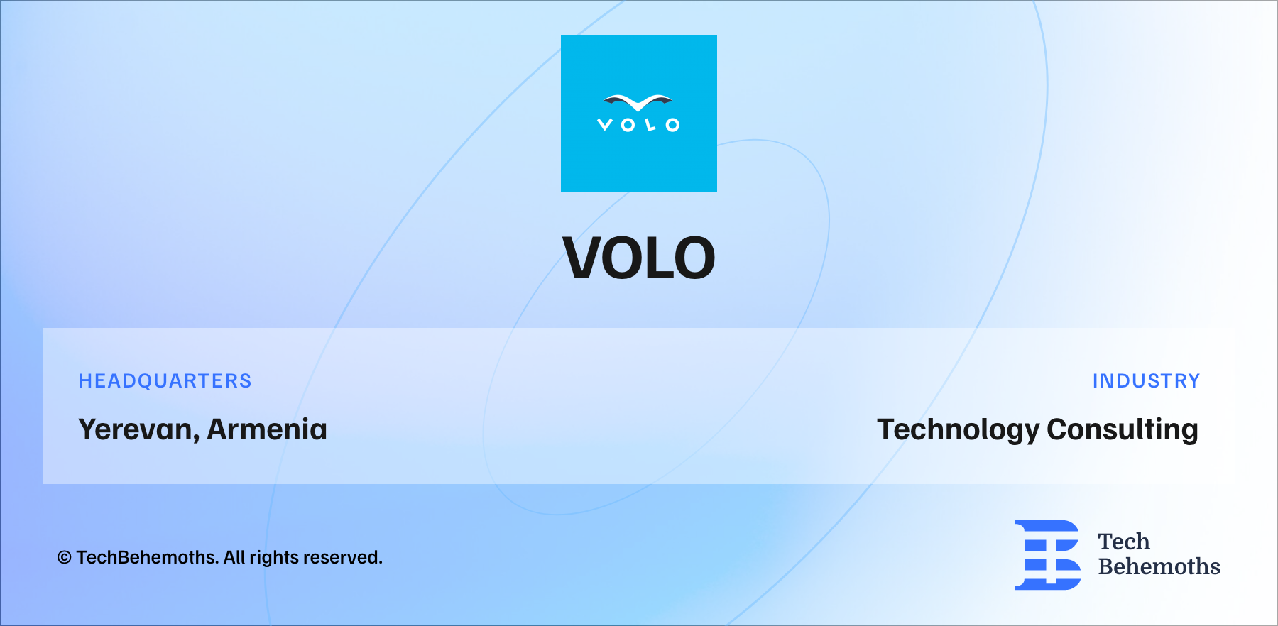 Volo Company Profile