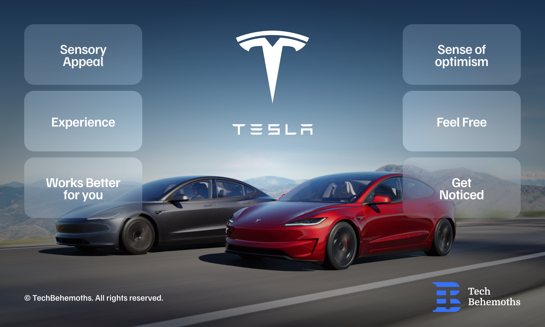 Tesla Brand - from just an electric car to tesla 